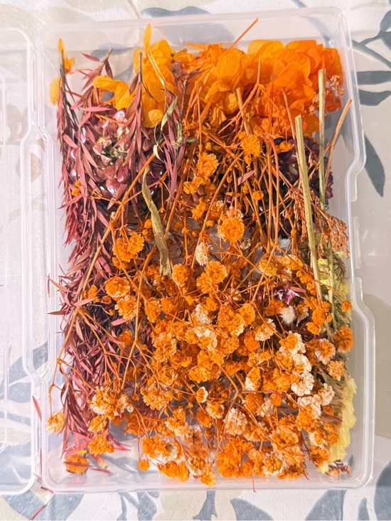 Other - Bright Orange Dried Flower Mix - Decorative Craft Bundle